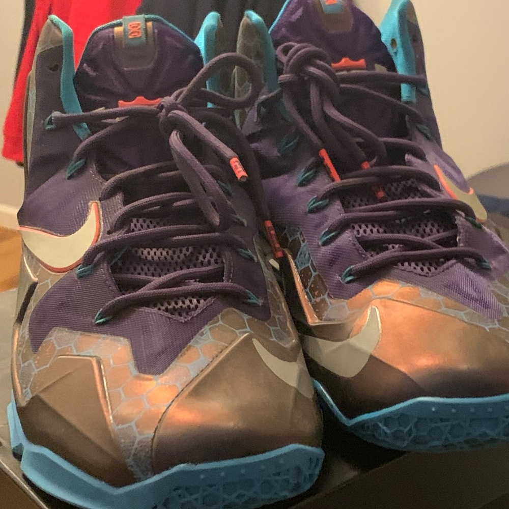 Lebron 11 hornets